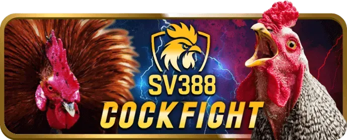 Chương trình VIP và ưu đãi độc quyền C168