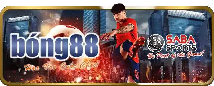 Hình ảnh tổng hợp các biểu tượng môn thể thao đa dạng tại C168